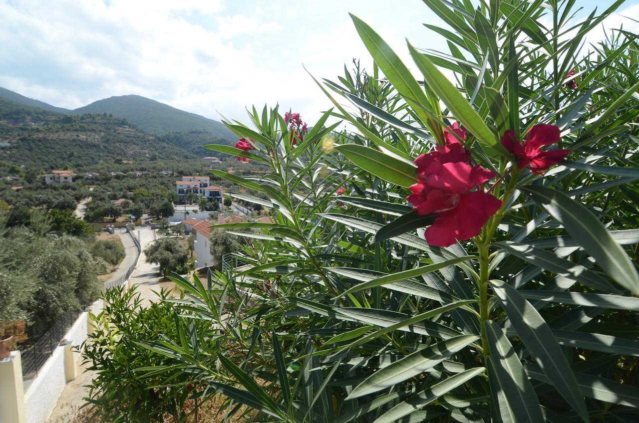 Apartamento Liofoto Skopelos Exterior foto