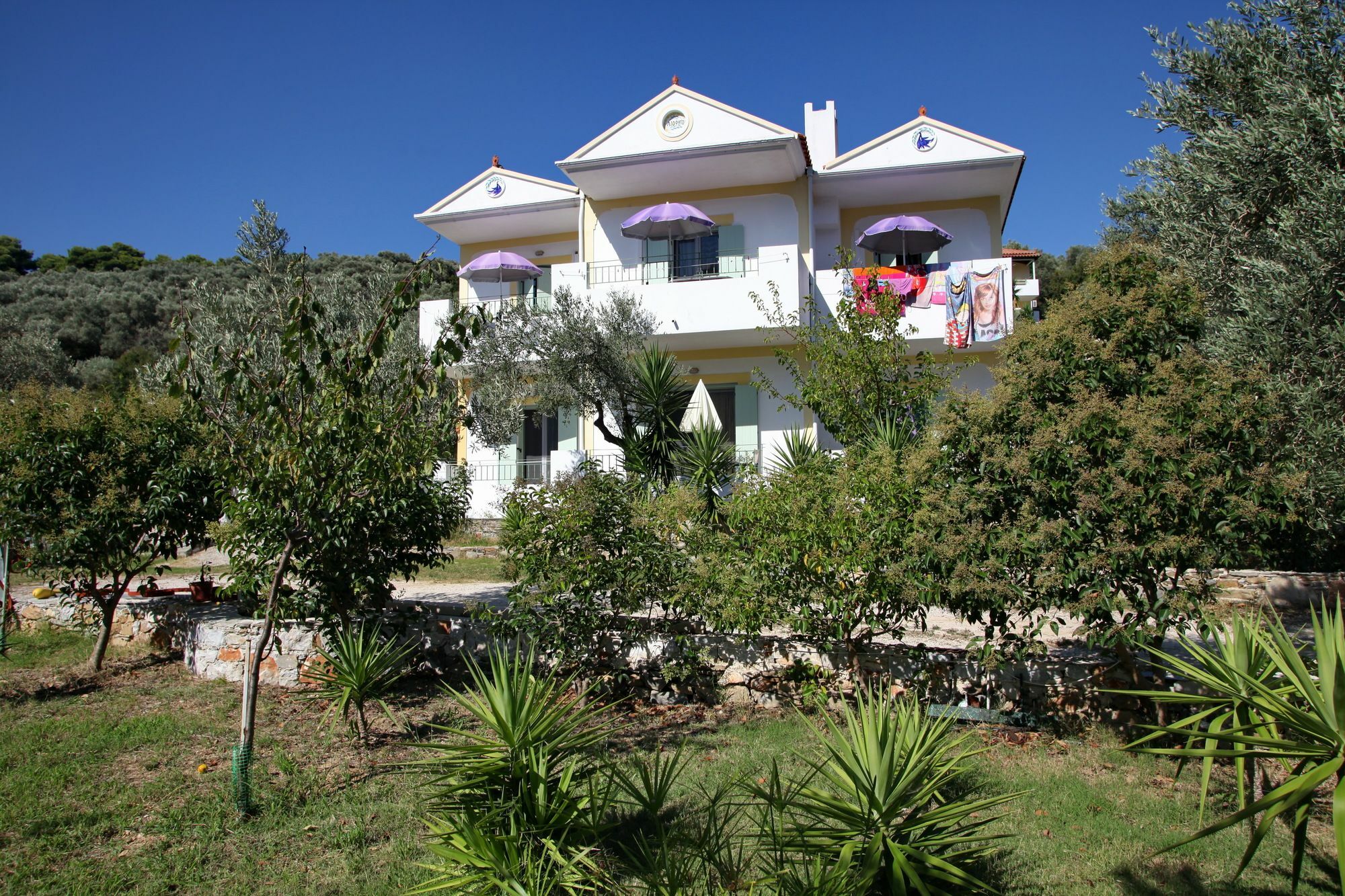 Apartamento Liofoto Skopelos Exterior foto