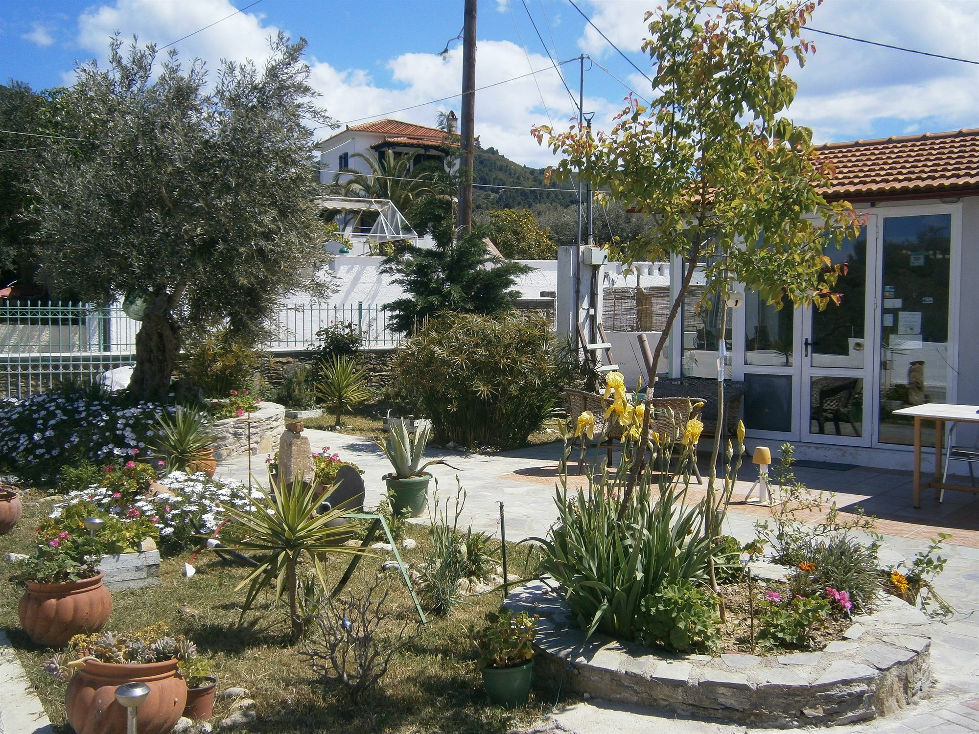 Apartamento Liofoto Skopelos Exterior foto